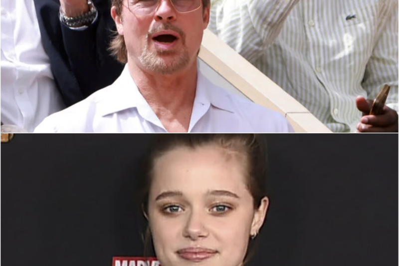 The Fractured Legacy: Inside Brad Pitt’s Devastating Financial Decision and Shiloh’s Legal Move to Erase Her Father’s Name