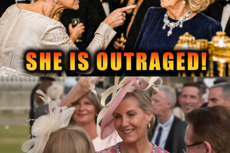 Duchess Sophie GOES NUTS At State Dinner After Camilla SECRETLY Wears Late Queen’s Heirloom