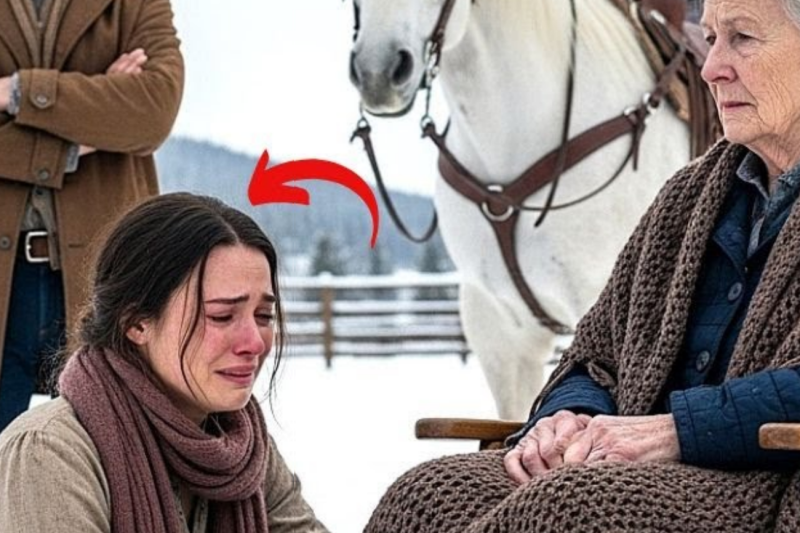A Rancher Hired a Homeless Woman to Care for His Grandmother—And Eventually Married Her