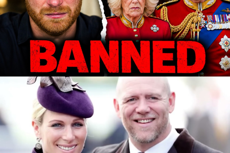 Locked Out for Good: How a Royal Wedding Ban Proved Prince Harry’s Exile From the Family Is Now Absolute