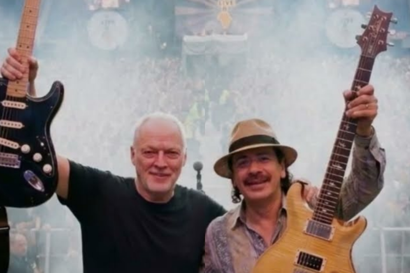 The Stage Crash That Shocked the World: How David Gilmour Accidentally Invited a Rock Legend to Play with Pink Floyd