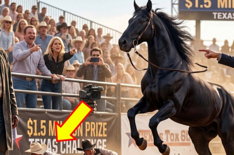 The Horse That Threw Every Rider — Until a Black Beggar Stepped Up… and Won $1.5M