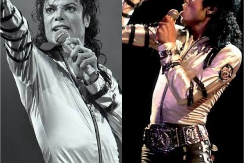 Security Guard Refused To Let Michael Jackson Into His Own Concert — 80,000 People Were Left Silent