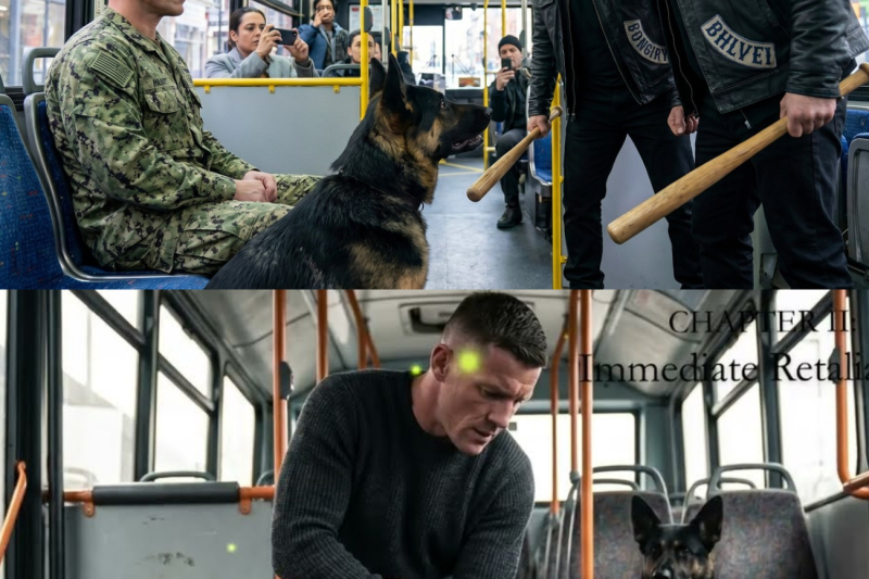 Gangsters Bullied a Quiet Man and His German Shepherd in a Bus — Unaware That He Was a Navy SEAL