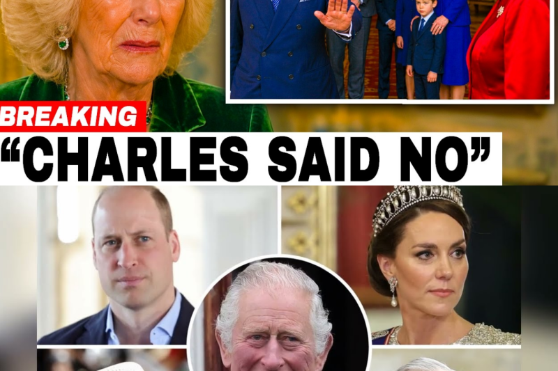 King Charles Denies Camilla’s Family Royal Residence Rights, Opens Doors To William’s Children