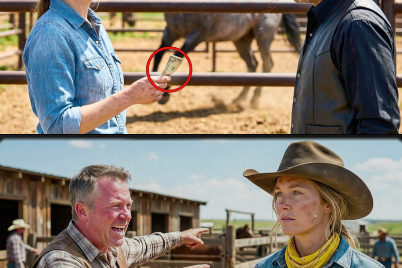 She Offered to Buy His Worst Stallion for a Dollar — Rode It Out of the Corral That Afternoon
