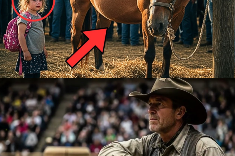 Pregnant Mare Is Ignored At An Auction… But A Girl Appears And Changes Her Fate Forever