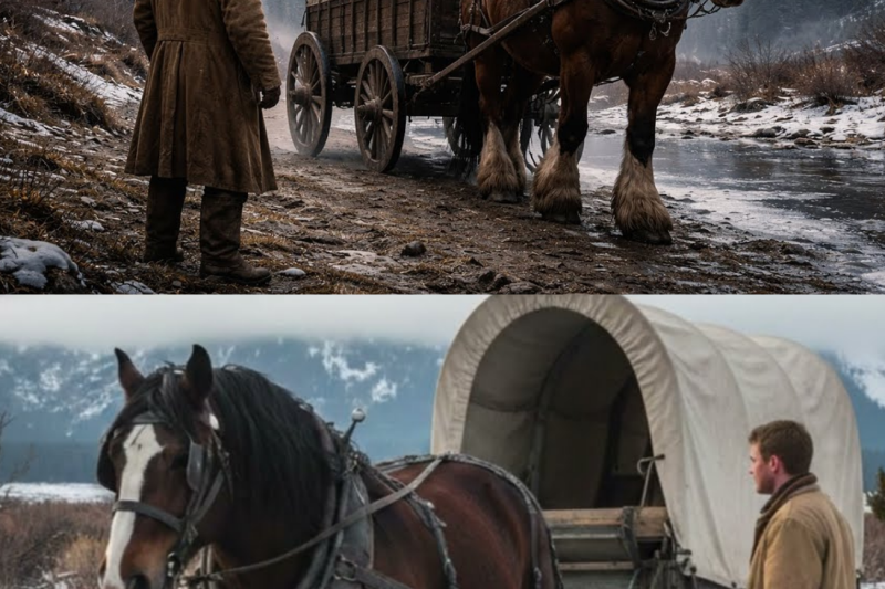 The Giant Horse Dragged the Wagon Alone… What the Rancher Discovered Inside Left Him in Tears