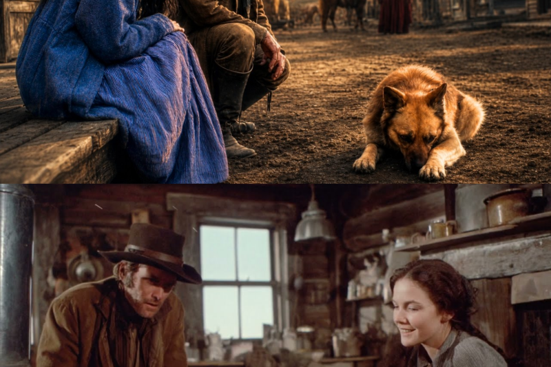 “She Came for the Dog…” The Rancher Hoped She’d Stay for Him Instead