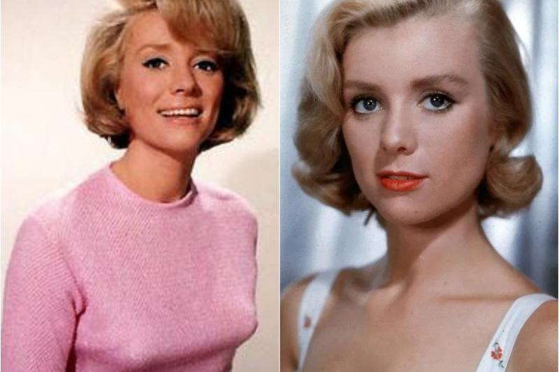 The Inger Stevens MYSTERY Finally SOLVED… and It Isn’t GOOD