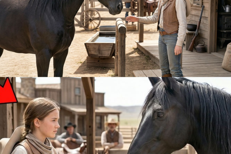 Everyone Feared The Silent Black Horse… Until A Girl Discovered His Painful Past