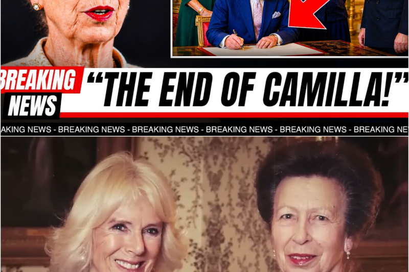 BREAKING: King Charles SIGNS Royal Order — Princess Anne Named Princess Royal Regent!