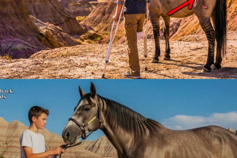A Boy With ONE LEG Rode the ‘DEAD’ Horse… What Happened Next Left the WHOLE TOWN in Tears