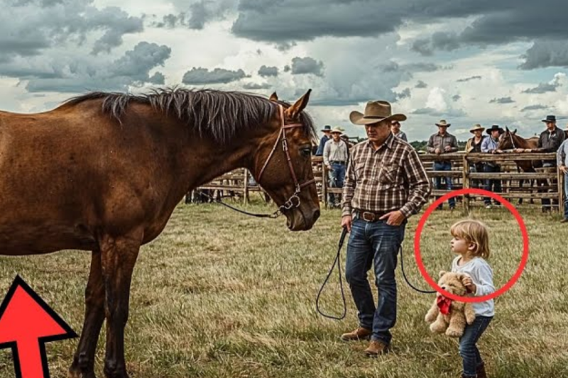Pregnant Mare Is Rejected By Everyone At An Auction… Until A Girl Approaches And…
