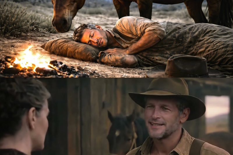 Everyone Mocked His $75 ‘Trash’ Ranch — Until A Starving Horse Chose Him