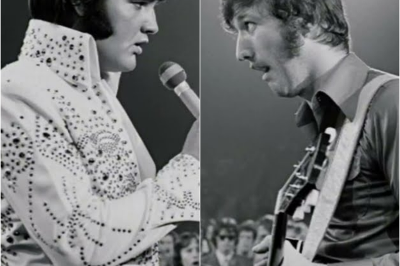 Elvis Fired His Band On Stage — What He Did Seconds Later Shocked Everyone