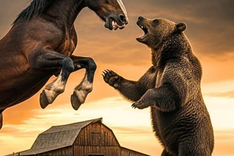 Giant Horse Faces Bear To Protect Farm… The Fight That Ensues Is Brutal