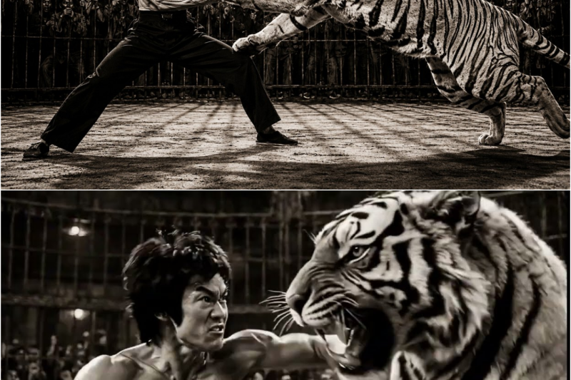 Bruce Lee Was Locked in a Cage With a Tiger — 8 Seconds Later the Crowd Stopped Breathing