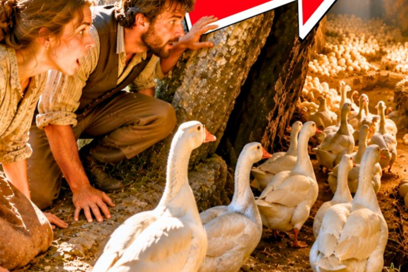 Their Geese Kept Slipping Through a Mountain Crack — A Young Couple Followed Them and Found a Hidden
