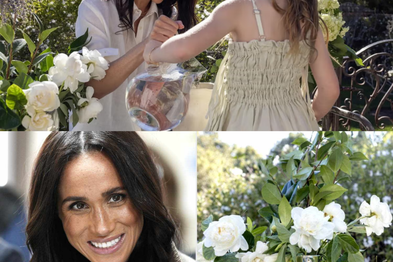 The Authenticity Trap: Why Meghan Markle’s Highly Curated Lifestyle Brand is Spectacularly Backfiring
