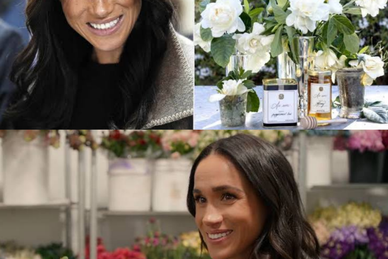 The Authenticity Trap: Why Meghan Markle’s Highly Curated Lifestyle Brand is Spectacularly Backfiring