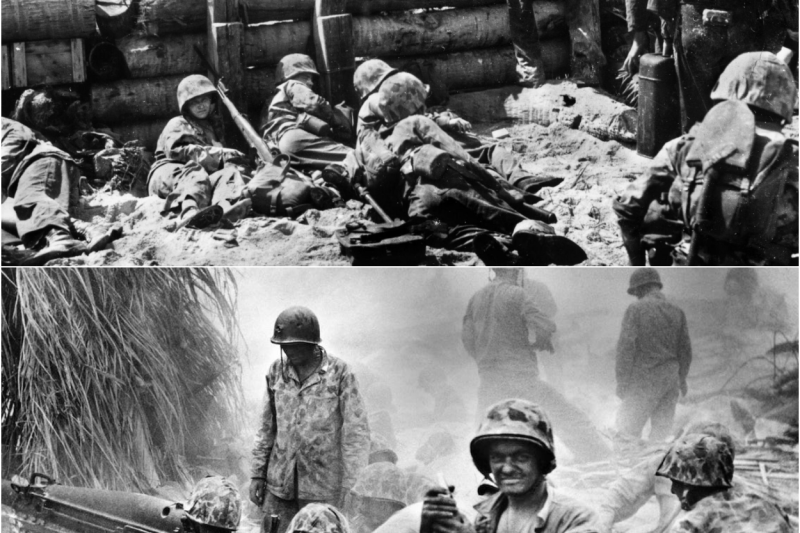 WWII Marines Who Hunted Hunters: Outcasts to Japan’s Worst Nightmare
