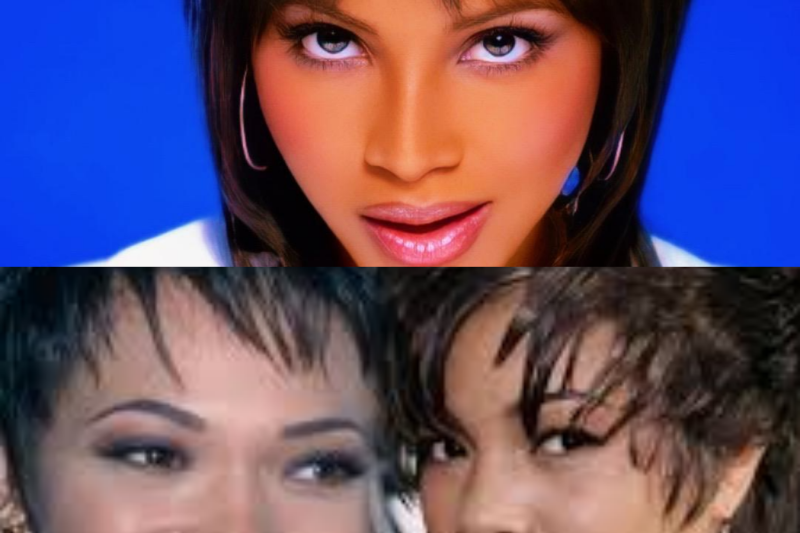 The Cost of the Applause: The Raw Tragedy and Ultimate Resilience of Sitcom Icon Tisha Campbell