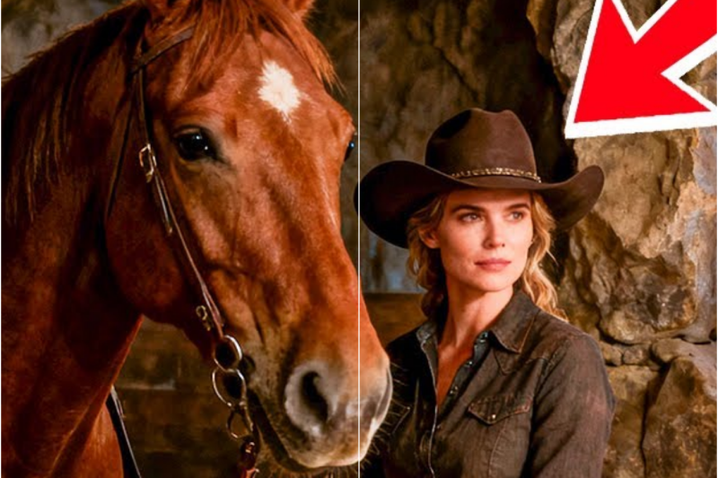 They Mocked the Cowgirl for Building a Stable in a Cave — Until -34°F Winter Proved Her Right