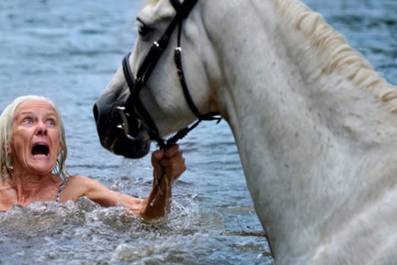 The Horse that Remembered Mercy: How a Wealthy Man’s Cruelest Betrayal Met a Four-Legged Miracle