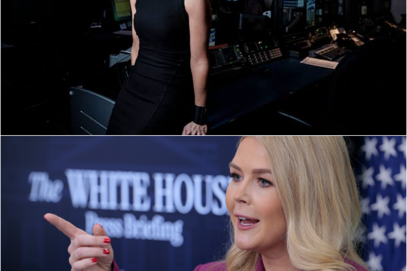The Ultimate Media Reckoning: How Karoline Leavitt and Megyn Kelly Dismantled Whoopi Goldberg and ‘The View’