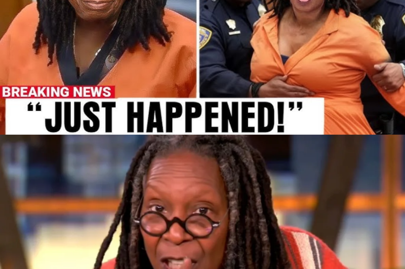 The Fall of an Icon: Whoopi Goldberg Faces Historic $800 Million Defeat in Courtroom Reckoning