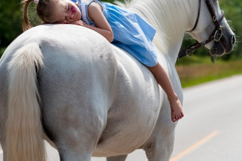 Left for Dead by Her Millionaire Father: How a Heroic Wild Horse and a Truck Driver Saved 7-Year-Old Sophia from a Sinister Plot