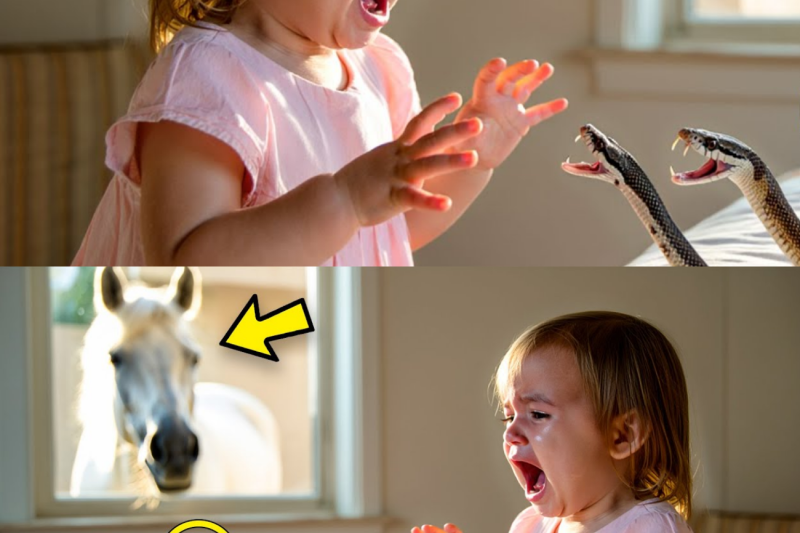 RICH MAN LOCKED HIS LITTLE DAUGHTER IN ROOM WITH VENOMOUS SNAKES, but the HORSE saw EVERYTHING and…