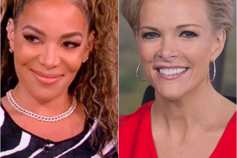 The Collapse of an Echo Chamber: How Bill Maher and Megyn Kelly Dismantled Sunny Hostin on Live Television