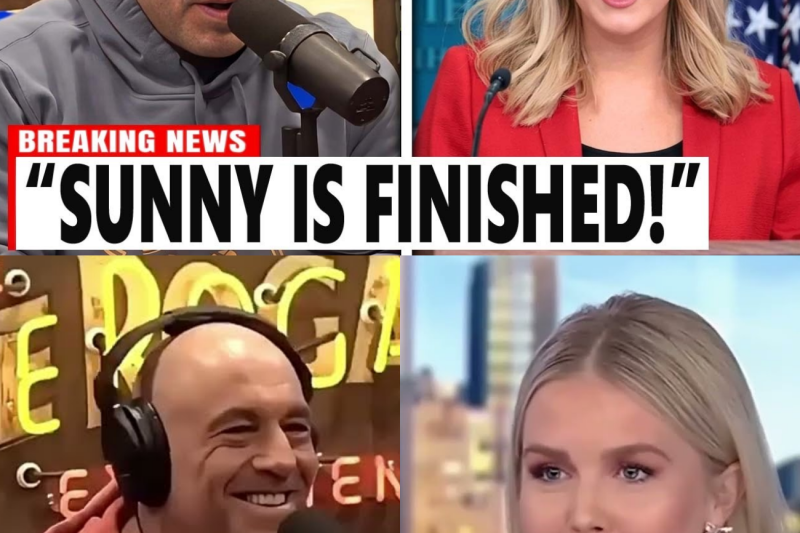 Joe Rogan MOCKS Sunny Hostin After Karoline Leavitt’s FILES $500M Lawsuit Against The View!