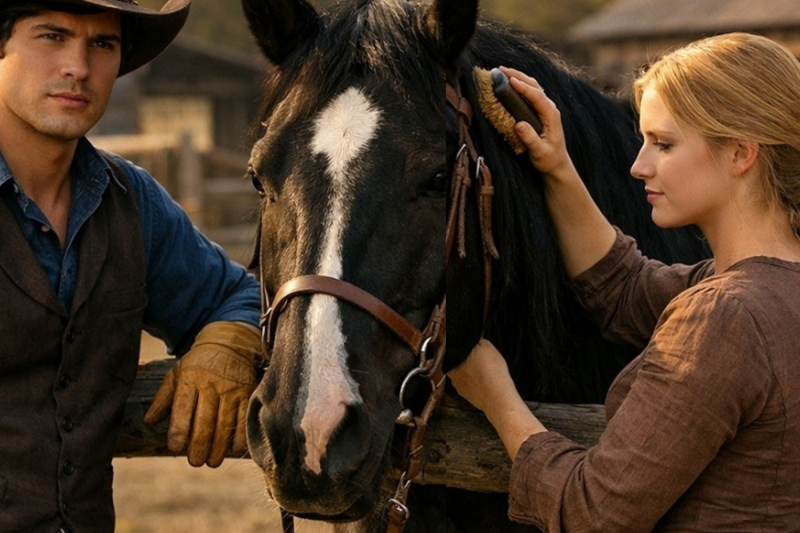 He Found Her Secretly Brushing His Neglected Horse, The Cowboy Said He Hasn’t Let Anyone Touch Him