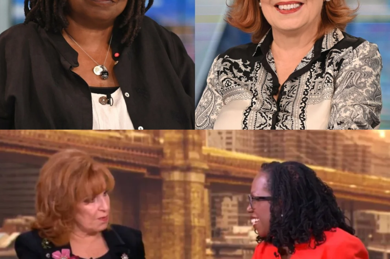 The Fall of a Talk Show Queen: Joy Behar’s Shocking Airport Arrest and Multi-Million Dollar Legal Nightmare