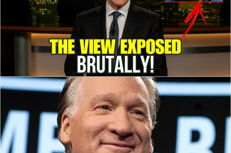 The Great Media Fracture: How Bill Maher and Megyn Kelly Ripped the Mask Off Daytime Television’s Ultimate Echo Chamber