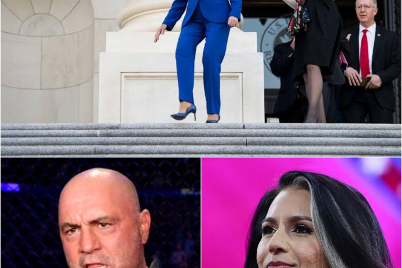 Tulsi Gabbard Shocks Joe Rogan: Exposing the Multimillion-Dollar Insider Trading Syndicate of Permanent Washington