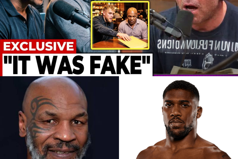 He PAID Us To Lose” — Tyson & Joshua DESTROY Jake Paul on Rogan
