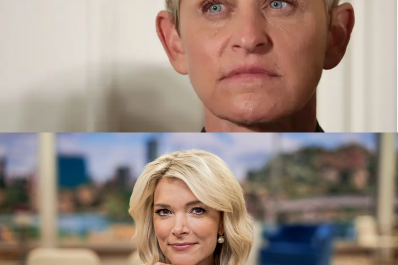 Behind the Smile: How Joe Rogan and Megyn Kelly Dismantled the Flawless “Be Kind” Empire of Ellen DeGeneres