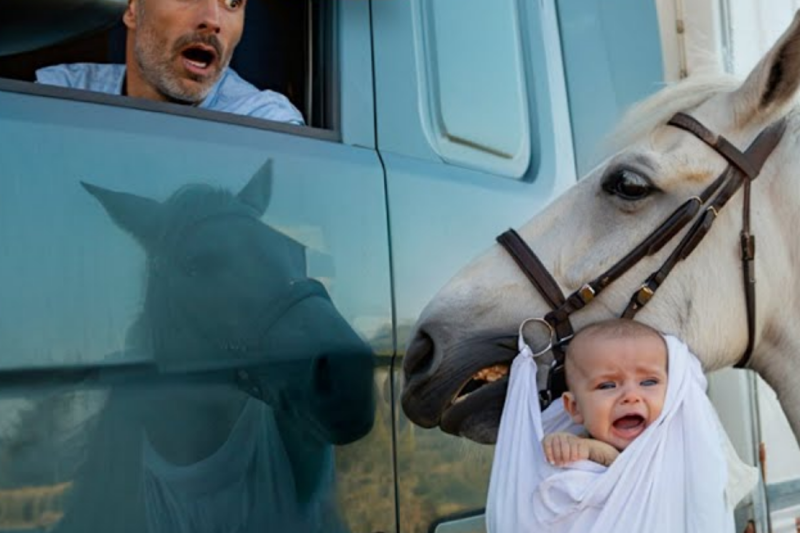 The Highway Miracle: How a Noble White Horse Exposed a Millionaire’s Cowardice and Saved an Abandoned Newborn
