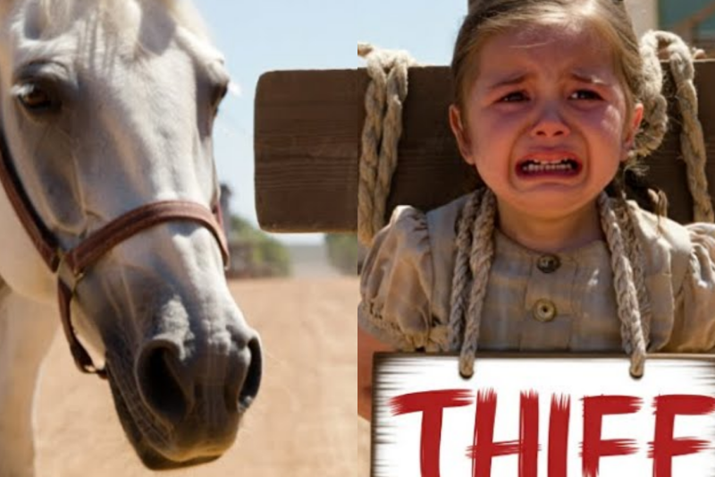 The Silent Guardian of Cedar Falls: How a Starving Girl, a Cruel Millionaire, and a Majestic White Horse Transformed a Wild West Town Forever