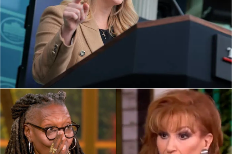 The Ultimate Clapback: How Karoline Leavitt Dismantled Whoopi Goldberg and ‘The View’ on Live TV